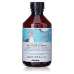 DAVINES WELL BEING SHAMPOOING 250ML