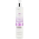 ERAYBA BIO SMOOTH BS16 CONDITIONNER 250 ML