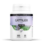 GPH GATTILIER 100 GELULES A 210 MG