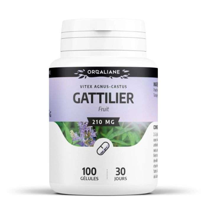 gph-diffusion-gph-gattilier-100-gelules-a-210-mg-complements-alimentaires.jpg GPH GATTILIER 100 GELULES A 210 MG – Image 1
