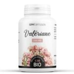 GPH VALERIANE 250 MG 200 GELULES